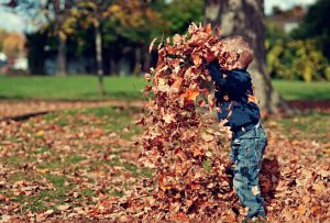 Boy playing in the leaves : Having fun childhood : LavoroCare supply Children's Care Workers : Health & Social Care Agency : Jobs